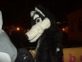 IMGP3039.JPG